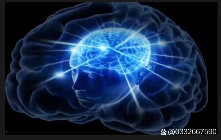 吃瓜网每日大赛 - 娱乐圈纪检委 吃瓜网每日大赛 - 娱乐圈纪检委头像